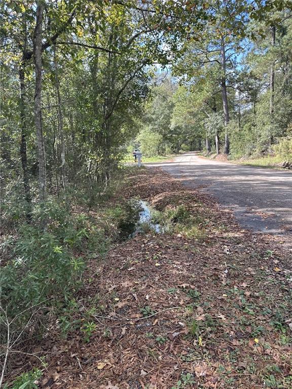 27823 J C Stewart Rd, Albany, LA 70711 - photo 6