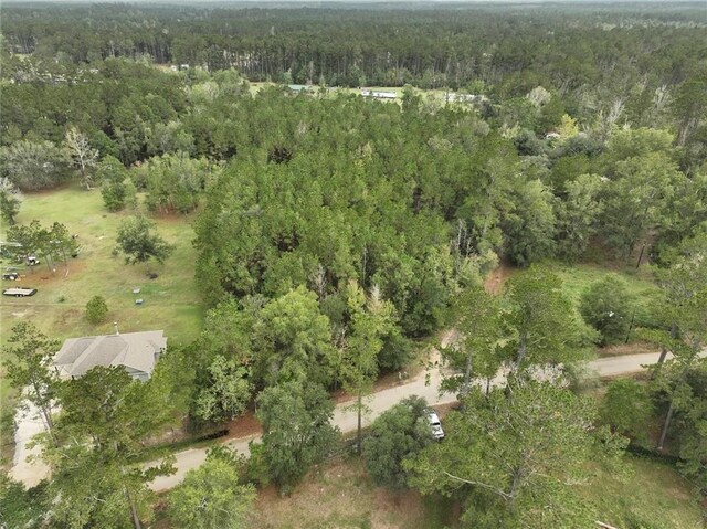 27823 J C Stewart Rd, Albany, LA 70711 - photo 8