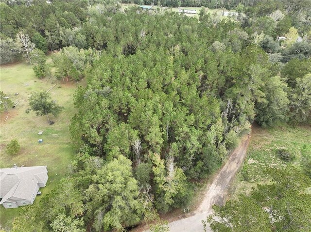 27823 J C Stewart Rd, Albany, LA 70711 - photo 9