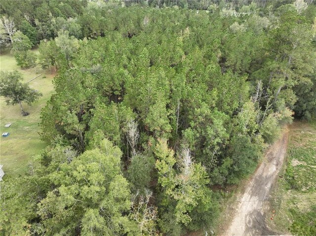 27823 J C Stewart Rd, Albany, LA 70711 - photo 10