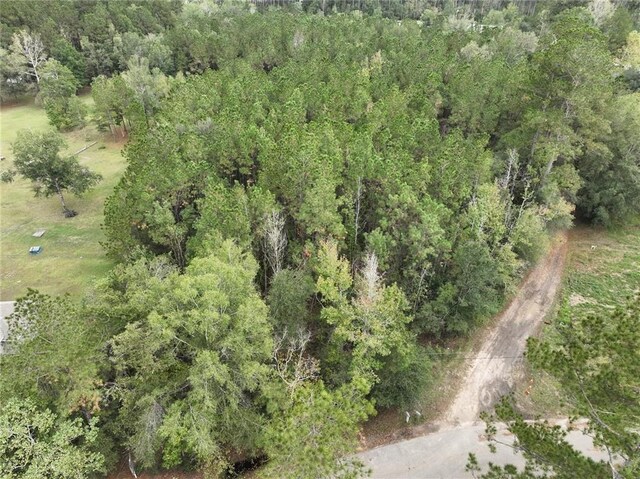 27823 J C Stewart Rd, Albany, LA 70711 - photo 11
