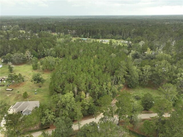 27823 J C Stewart Rd, Albany, LA 70711 - photo 12