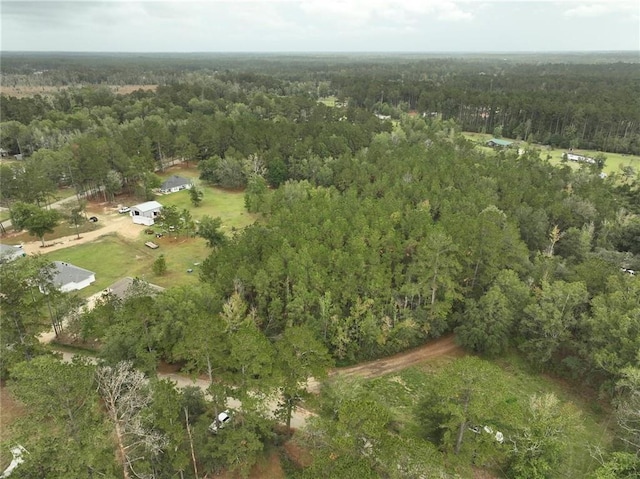27823 J C Stewart Rd, Albany, LA 70711 - photo 13