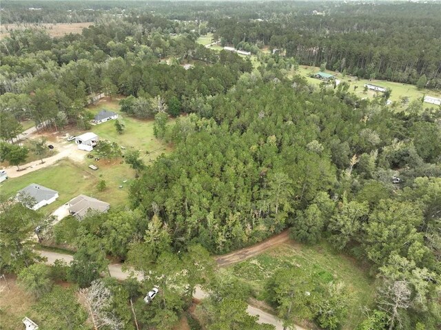 27823 J C Stewart Rd, Albany, LA 70711 - photo 14