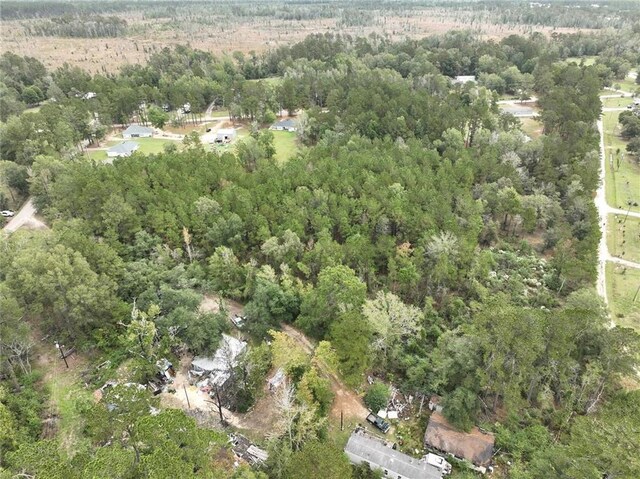 27823 J C Stewart Rd, Albany, LA 70711 - photo 16