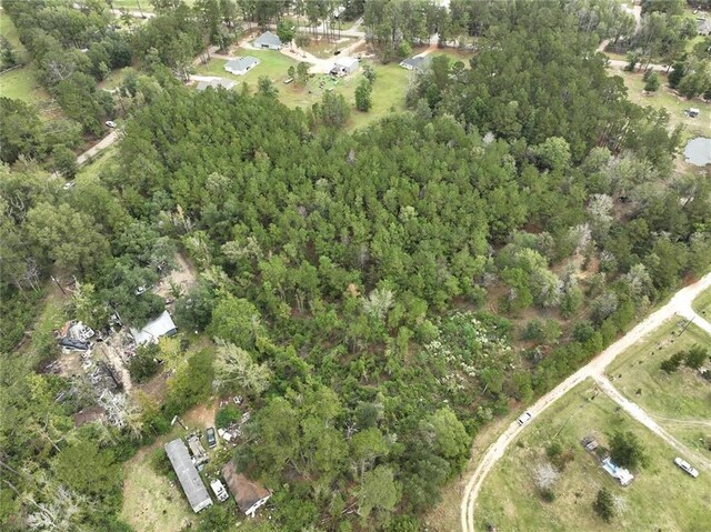 27823 J C Stewart Rd, Albany, LA 70711 - photo 19