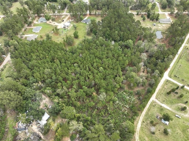 27823 J C Stewart Rd, Albany, LA 70711 - photo 20