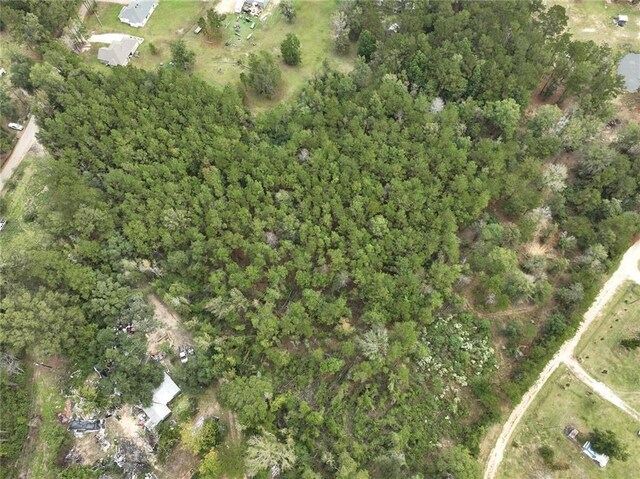 27823 J C Stewart Rd, Albany, LA 70711 - photo 21