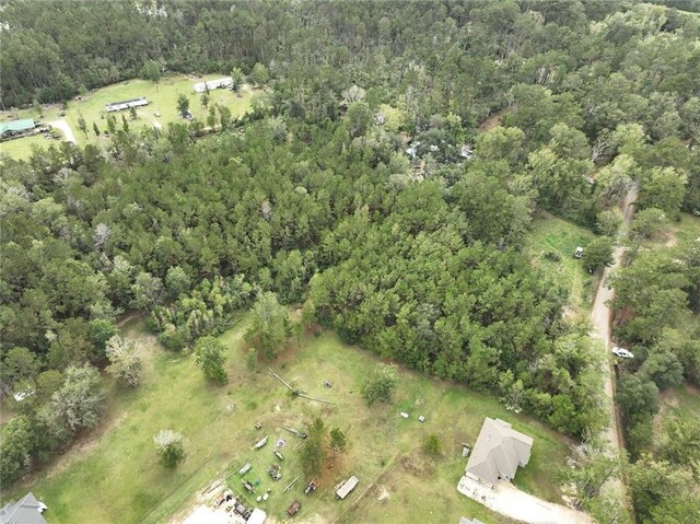 27823 J C Stewart Rd, Albany, LA 70711 - photo 23