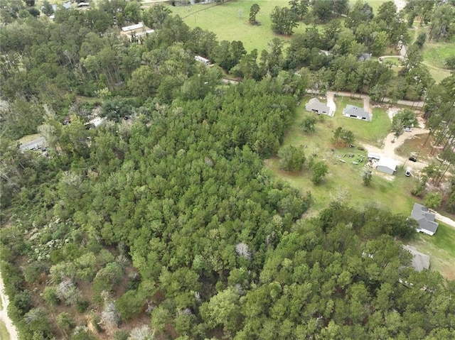 27823 J C Stewart Rd, Albany, LA 70711 - photo 24