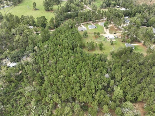 27823 J C Stewart Rd, Albany, LA 70711 - photo 25