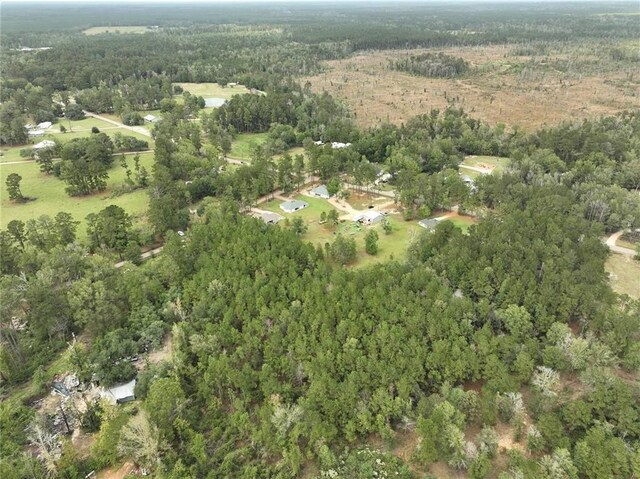 27823 J C Stewart Rd, Albany, LA 70711 - photo 27