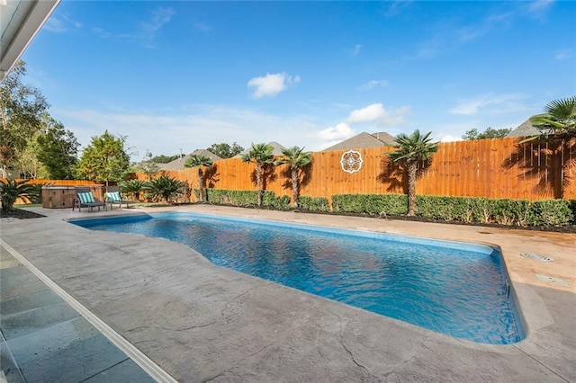 view of swimming pool with a patio area