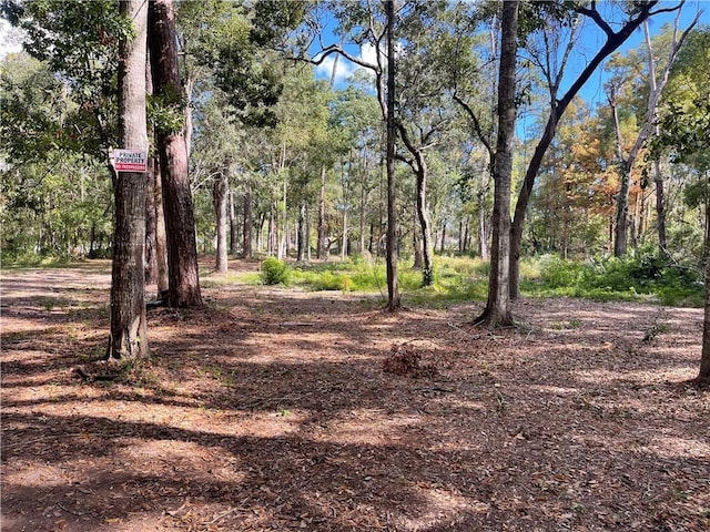 142 Chamale Dr, Slidell, LA 70458 - photo 4