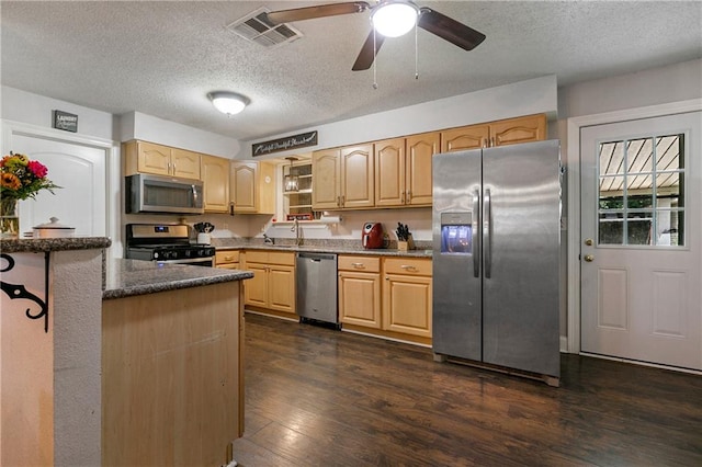 kitchen with appliances with stainless steel finishes, a textured ceiling, sink, dark wood-type flooring, and ceiling fan