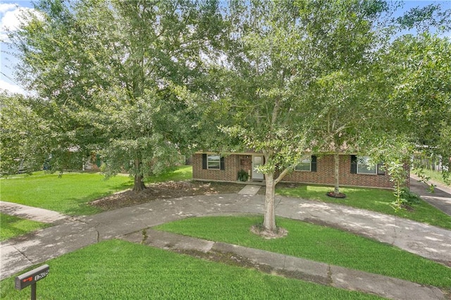 obstructed view of property featuring a front lawn