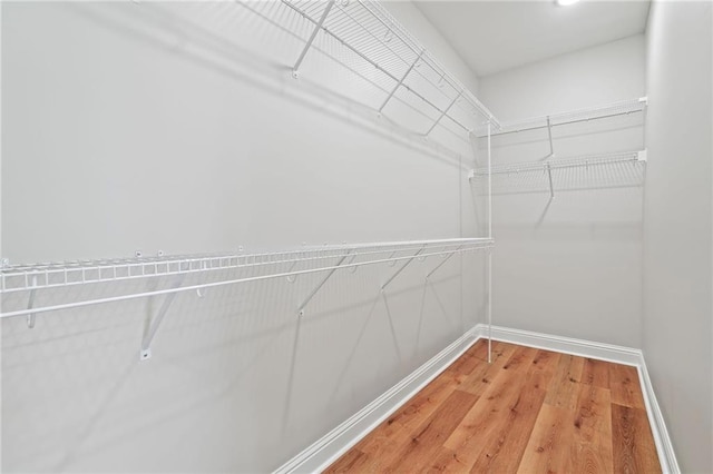 spacious closet with wood-type flooring