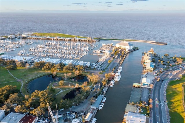 bird's eye view with a water view