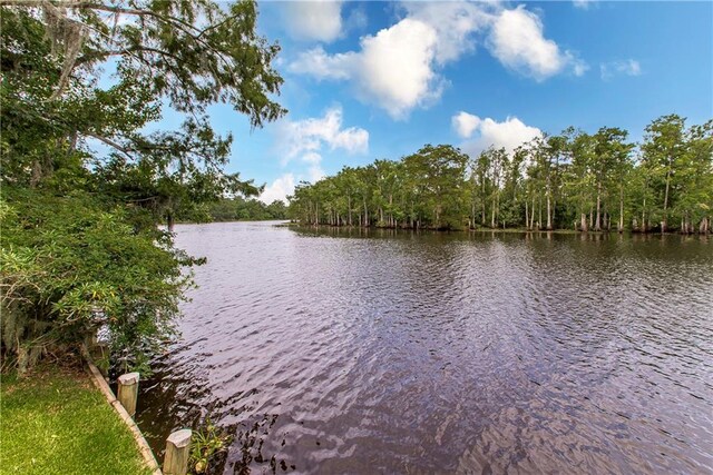 1.24AC Meisner Rd, Springfield, LA 70462