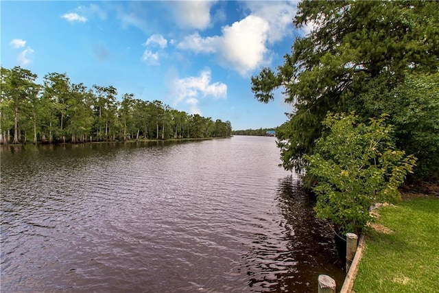 1.24AC Meisner Rd, Springfield, LA 70462