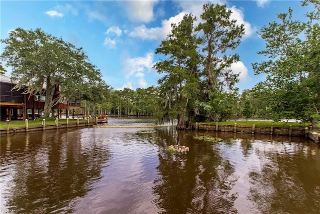 1.24AC Meisner Rd, Springfield, LA 70462