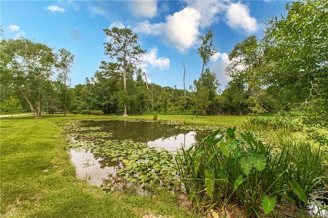 view of property's community with a lawn and a water view