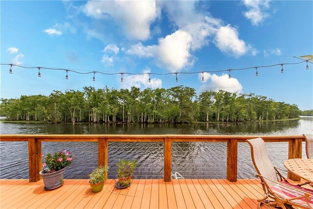 16704 Meisner Rd, Springfield, LA 70462 - photo 52