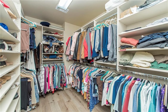 spacious closet featuring light hardwood / wood-style flooring