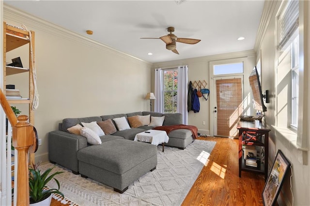 living room featuring ceiling fan, hardwood / wood-style flooring, and ornamental molding