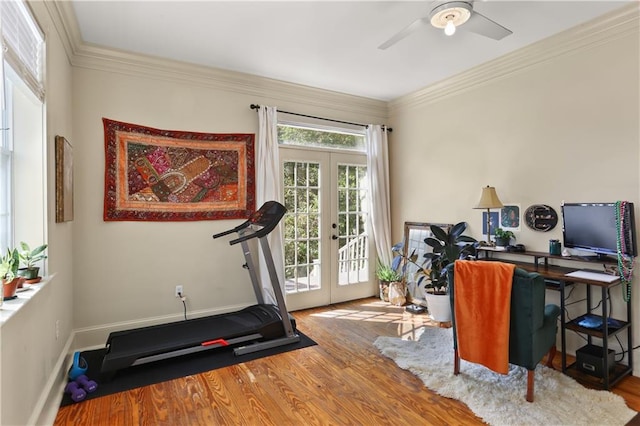 workout area featuring crown molding, light hardwood / wood-style flooring, and french doors