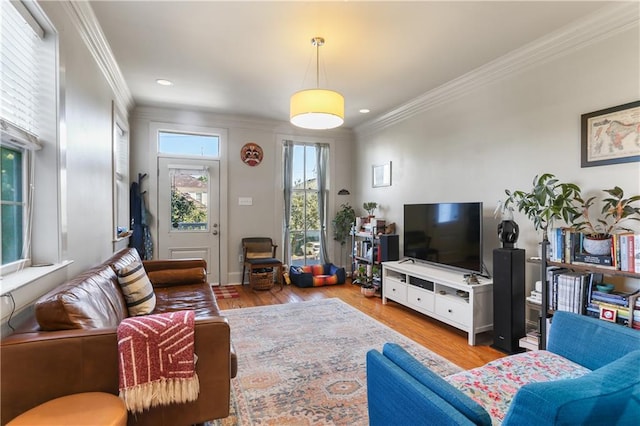 living room featuring light hardwood / wood-style flooring and crown molding