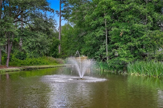 view of water feature