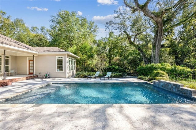 view of pool featuring a patio area