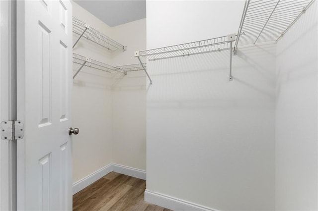 spacious closet featuring wood-type flooring