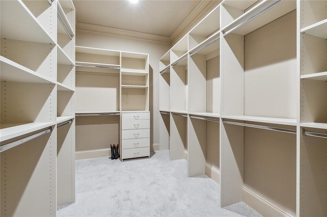 walk in closet featuring light colored carpet