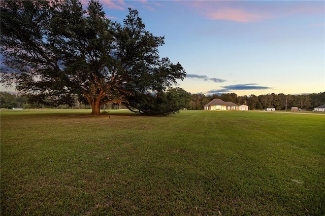 view of yard at dusk