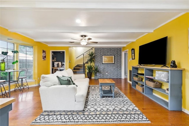 living room featuring beamed ceiling, wood-type flooring, ceiling fan, and ornamental molding