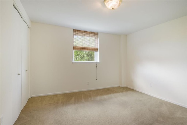 unfurnished room featuring carpet