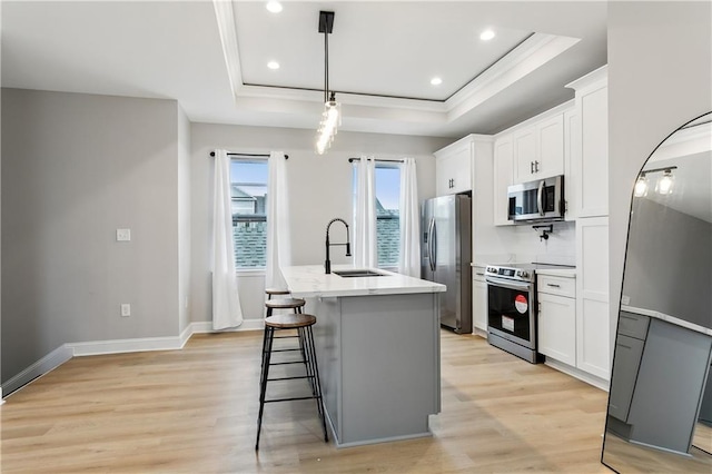 kitchen with white cabinets, sink, an island with sink, a tray ceiling, and appliances with stainless steel finishes