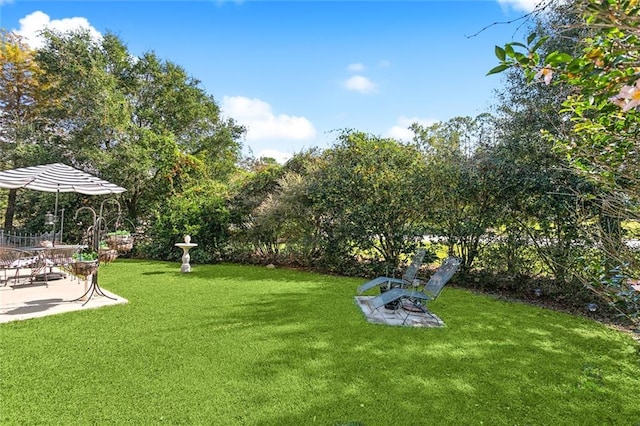 view of yard featuring a patio