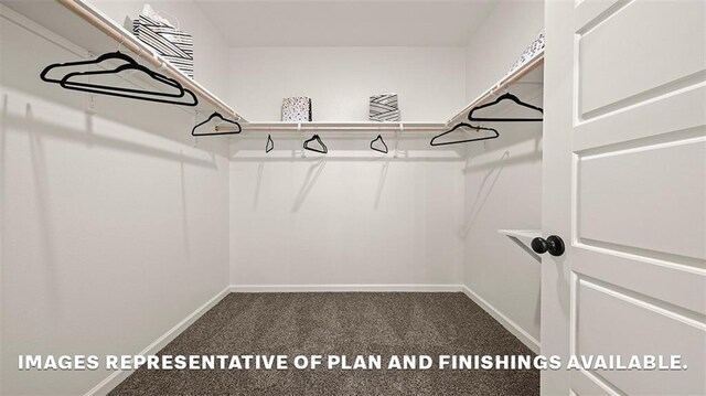 24279 Gadwall Ave, Ponchatoula, LA 70454 - walk in closet with dark carpet