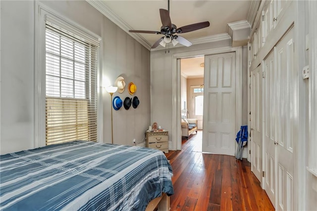 bedroom with dark wood-type flooring, ceiling fan, and ornamental molding