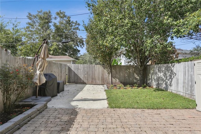 view of yard featuring a patio area