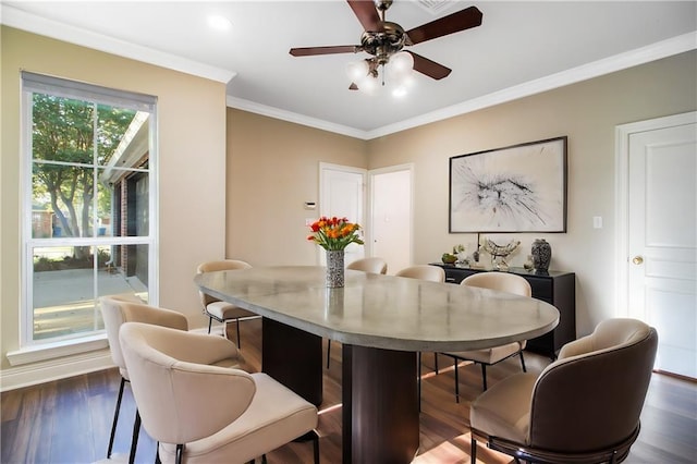 dining space with ceiling fan, dark hardwood / wood-style floors, and crown molding