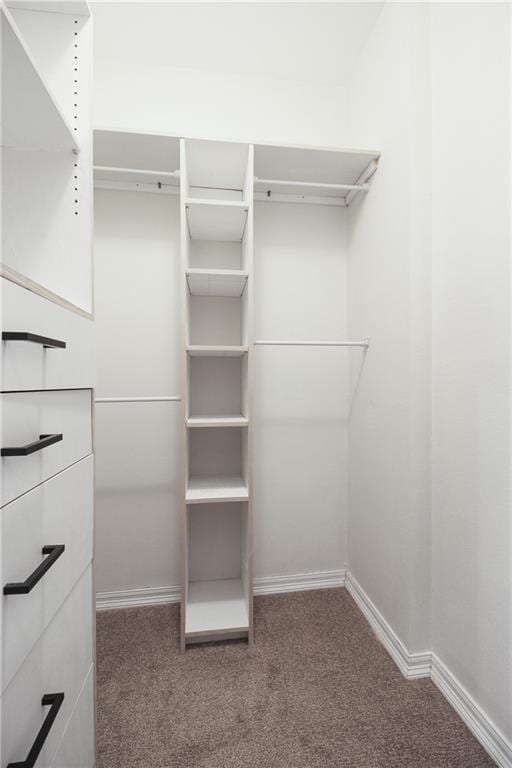 spacious closet with carpet