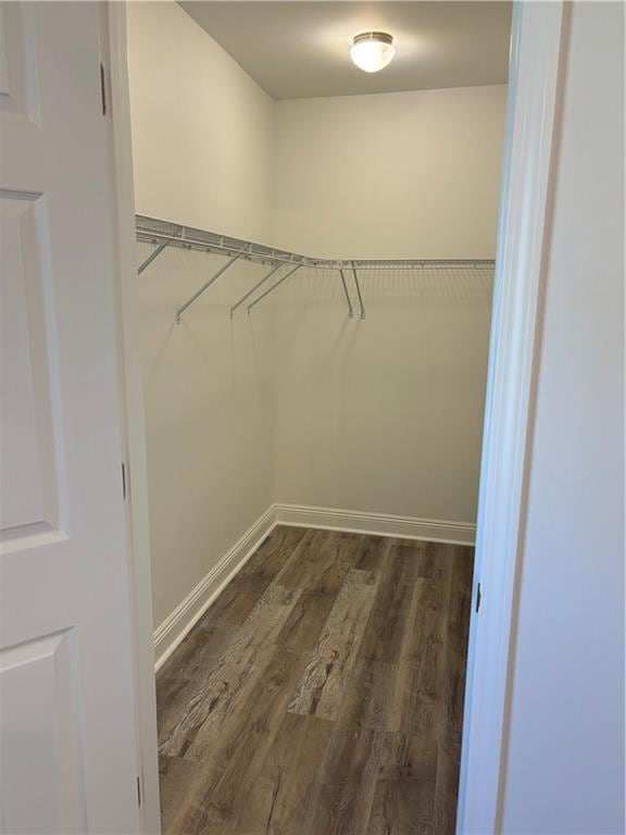 spacious closet featuring dark hardwood / wood-style floors