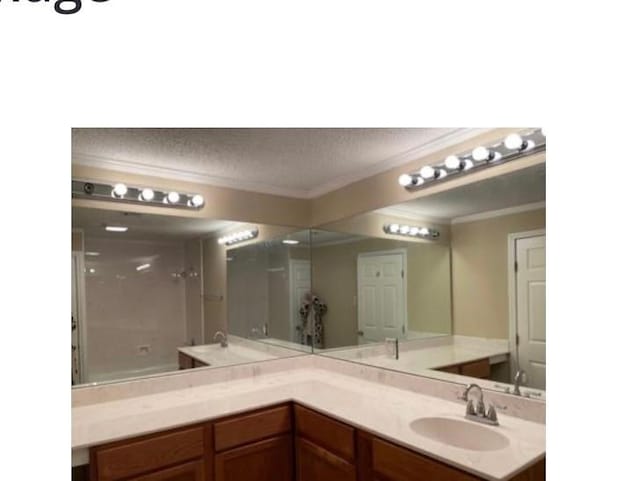 bathroom with a textured ceiling, sink, and ornamental molding