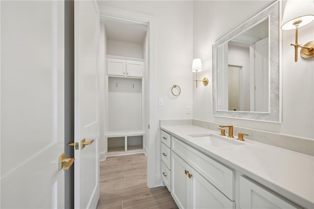 bathroom with wood-type flooring and vanity