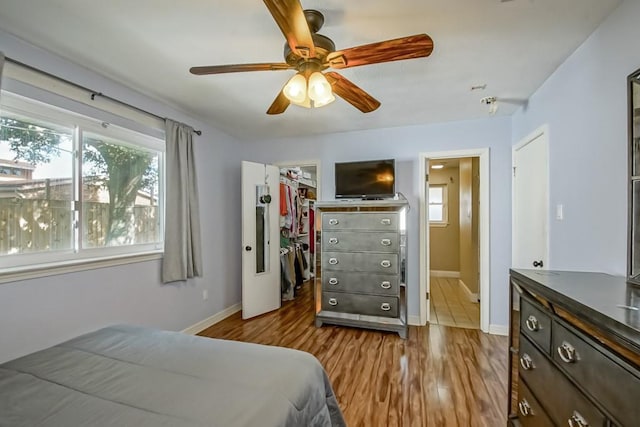 bedroom featuring multiple windows, a spacious closet, light wood-type flooring, and a closet