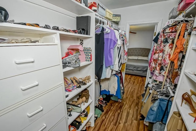 spacious closet featuring hardwood / wood-style flooring